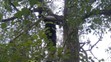 Záchrana chlapce