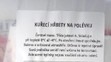 Kuřecí maso se salmonelou