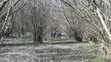 Nález mrtvého novorozence na Přerovsku - 1