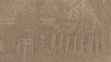 Geoglyf na pláni Nazca
