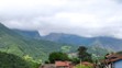 Ponga (1)