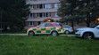 Policie na místě činu (3)