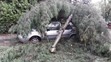 Prostějovem se prohnala prudká bouřka - 4