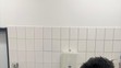 Záchrana křečíka