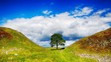 Sycamore Gap