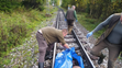 Medvědici na Slovensku přejela tramvaj