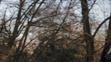 2014-01-04_Volejte-Machova - VTHUMB