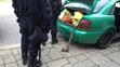 Demonstrace v Českých Budějovicích - 5
