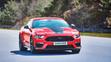 Ford Mustang Mach 1 - 16