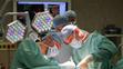 Transplantace ledvin - 4