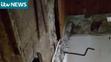 V tomto bytě se schovávali teroristi, policie v něm vystřílela tisíce střel - 2