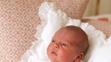 Princ Louis