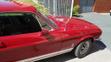 Mustang - 11