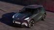 Cupra Raval
