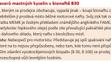Popis zjištěných závad v palivu - 2
