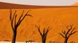 Nejkrásnější místa světa - Deadvlei, Namibie