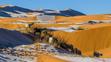 Zasněžená Sahara - 3