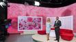 Královská svatba živě na televizi Nova! - 2