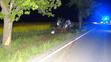 Auto přerazilo strom a skoro se rozlomilo