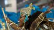 Karneval v Rio de Janeiro-10