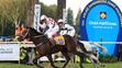 Váňa a Velká pardubická - 3