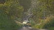 Nehoda na britské rallye - 2