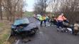 Tři zranění policisté po nehodě u Českého Brodu (2)