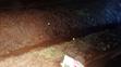 Nešťastnice skončila na dně příkopu, náraz jí zul boty