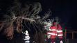 Vítr: Padlý strom na trať