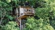 Tree house - 15
