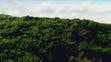 2014-03-28_Vymena-manzelek-IV-3-C084959 - VTHUMB