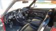 Mustang - 12