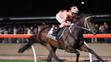 Black Caviar - 8