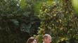 William a Kate na královské svatbě prince Husseina a princezny Rajwy