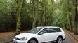Volkswagen Golf Alltrack - 13