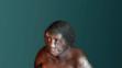 Homo floresiensis (2)