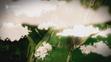 2014-07-22_Vikendove-prazdniny-B029608 - VTHUMB