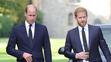 Princ William princ Harry