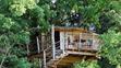 Tree house - 14