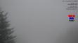 Sníh na Javorovém vrchu - 25. 11. 2014 - 8.00