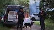 Policisté pátrají po majiteli fenky, který zmizel u Velkého Boleveckého rybníka v Plzni