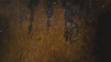 FA_KRIMINALKA_MIAMI_VIII_26_10_13-SELF-U058901 - VTHUMB