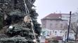 KŘIVÝ VÁNOČNÍ STROM - 1
