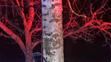 Nehoda na Táborsku