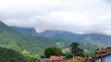 Ponga (1)