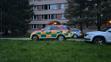 Policie na místě činu (3)