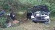 Kamion na Slovensku srazil medvěda a střetl se s osobním autem - 2