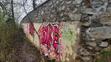 Graffiti - Zámek Hluboká (1)