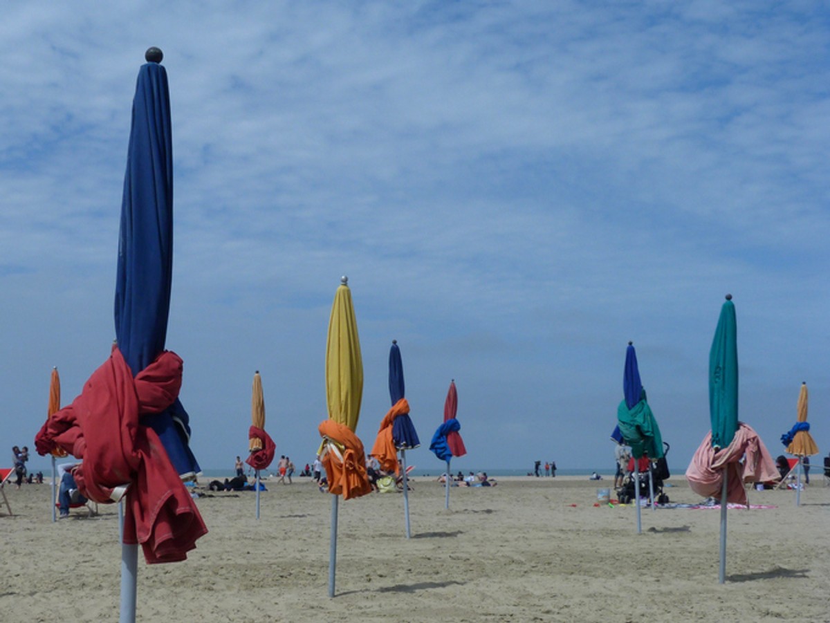 Peur des touristes en vacances en France.  Des algues toxiques ont infesté les plages là-bas