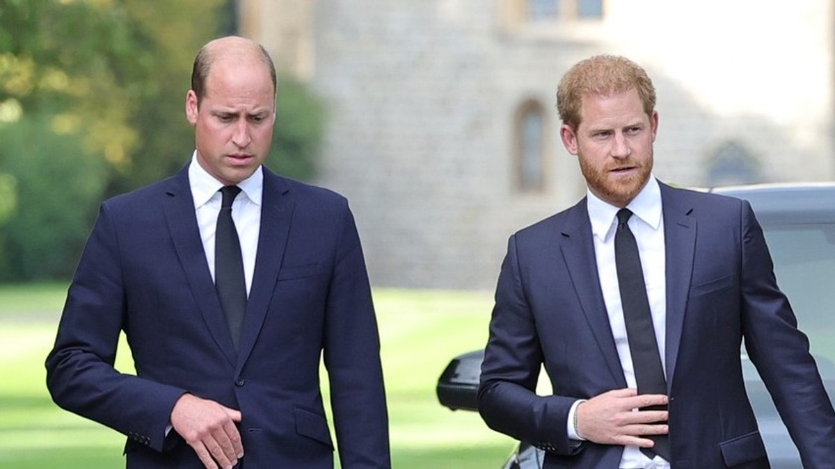 Prince William physically attacked me, brother Harry accused.  Blood had to flow during battle